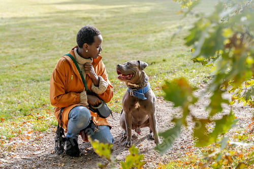 Preview: Black woman sitting with her large dog in autumn park,