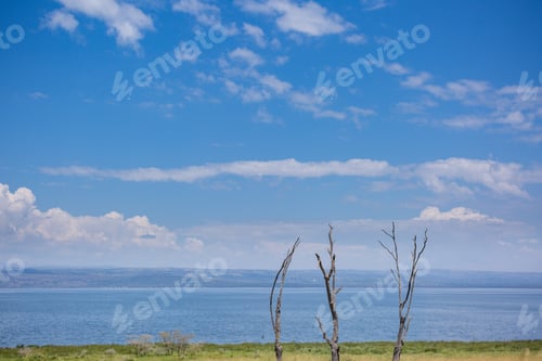 Preview: Kenya Landscape lake nakuru salt water nakuru city county kenya east africa rift valley