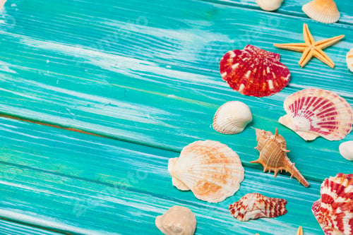 Preview: Different sea shells on color wooden background