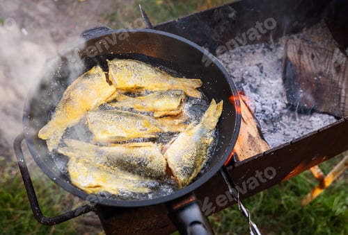 Preview: Fish in a pan over an open fire. Summer vacation near the lake, good catch, fresh fish.