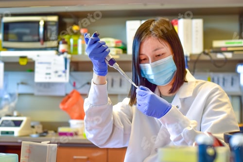 Preview: Graduate research student working on laboratory