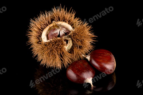 Preview: Chestnuts on a black reflective background