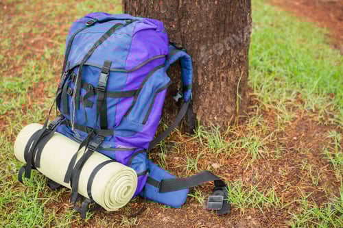 Preview: An hiking backpack and hiking pole leaning on a tree