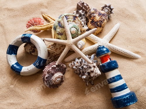Preview: Starfishes, pearls, and amazing seashells close up