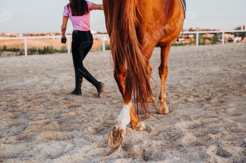 Preview: Faceless shot of woman in outfit of jockey holding horse on bridle and standing on sand