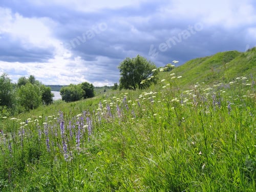Preview: summer landscape