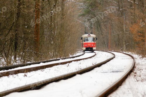 Preview: rushing tram through the winter forest