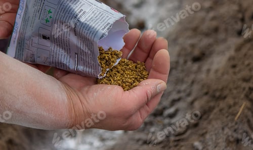 Preview: Young peasant woman planting seeds of carrots, radishes and beets in a warm black earth.