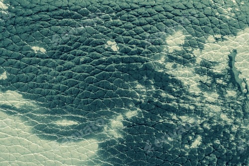 Preview: Abstract Background Of Rough Spotty Texture Of Natural Leather Closeup Green Tone