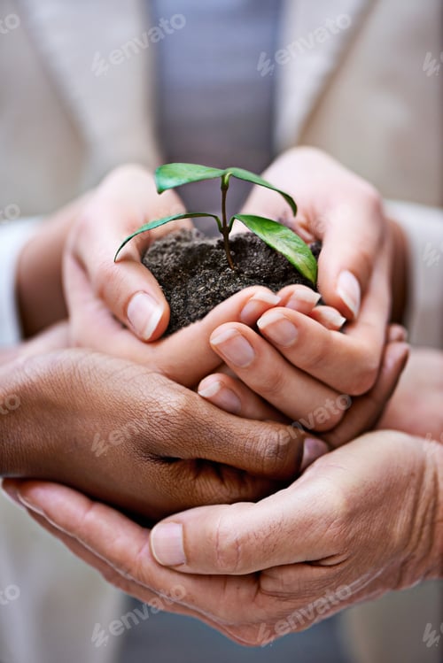 Preview: Nurturing their business as a team