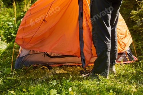 Preview: closeup tourist legs setting orange tent in green grass in camping in forest