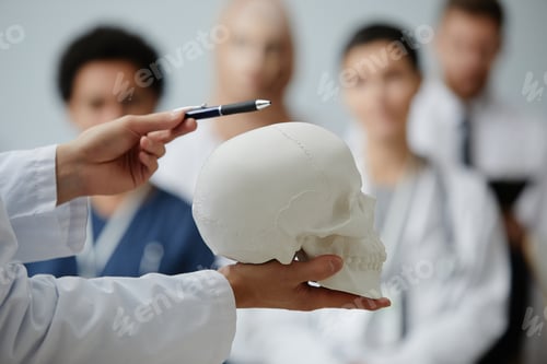 Preview: Doctor holding skull model and giving lecture