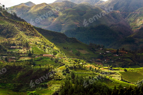 Preview: Green Rice fields on Terraced in Muchangchai, Vietnam Rice fields prepare the harvest at Northwest