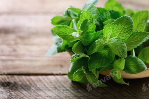 Preview: Fresh mint leaves on wooden background with copyspace and sunlights