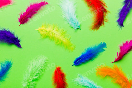 Preview: Close up to bright colorful feathers background. Colored feather background, top view