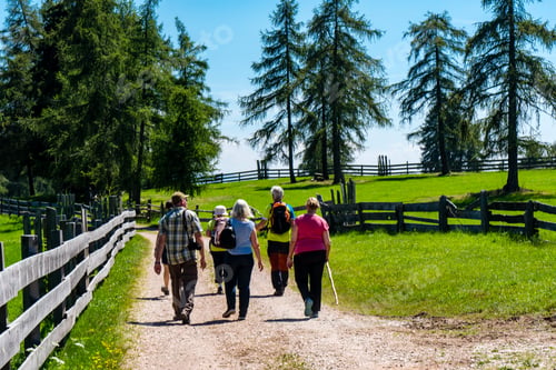 Preview: Group of hikers walking on a dirt path with trees on a sunny day