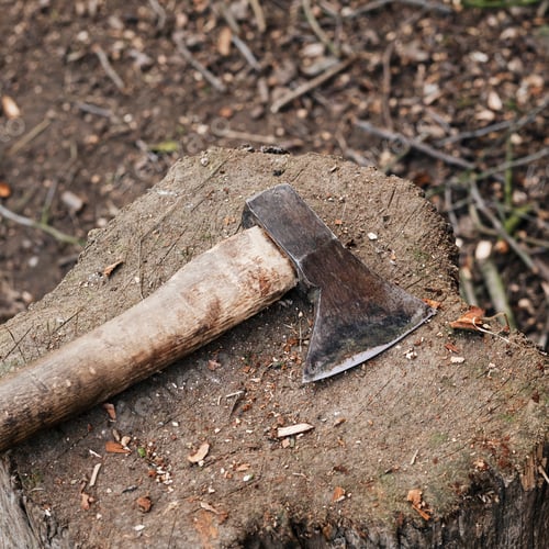 Preview: Axe on a tree stump