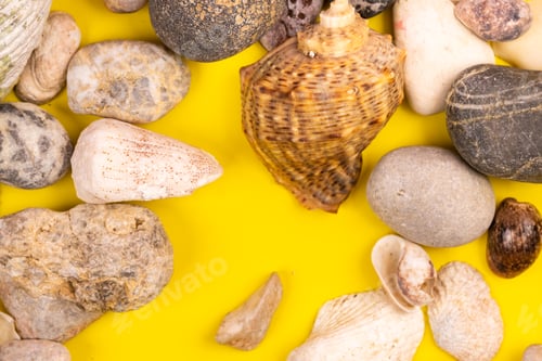 Preview: stones and shells on a yellow background.Marine theme