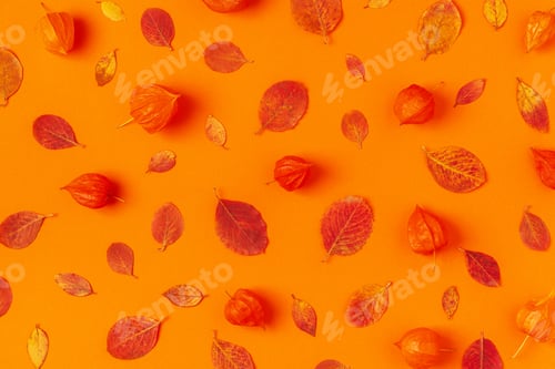 Preview: Autumn leaves on an orange background