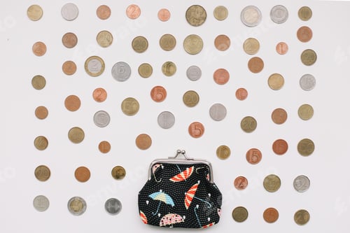 Preview: Open wallet with different coins isolated on white background top view.
