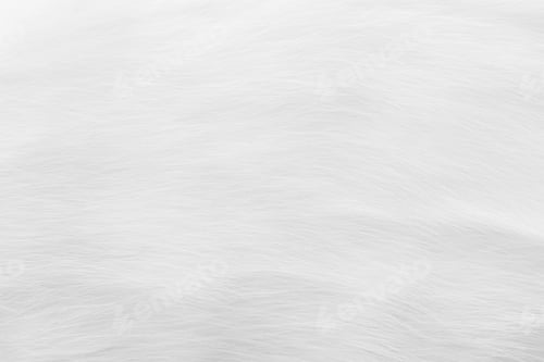 Preview: White cat fur texture background.