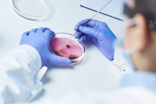 Preview: Watching microbiological cells in petri dish