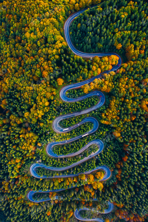 Preview: Curvy road through autumn forest.
