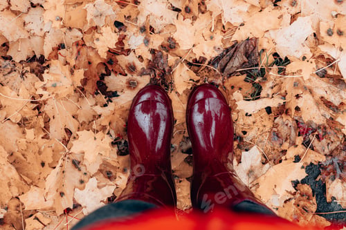Preview: Female feet in burgundy rubber boots stand on fallen autumn leaves in a park or forest on the street