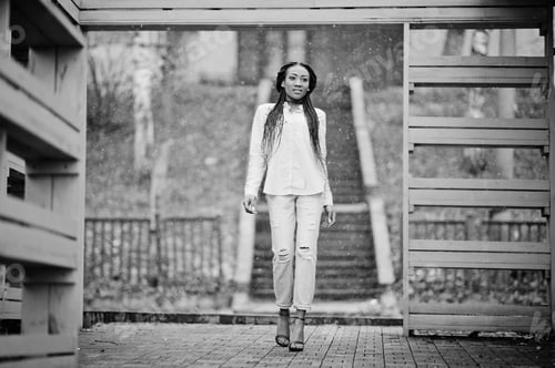 Preview: Stylish african american girl with dreads