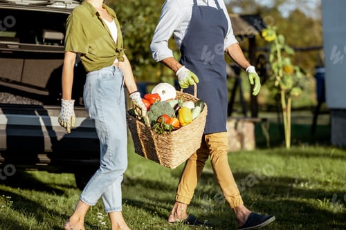 Preview: Man and woman with fresh vegetables near the car at the countryside