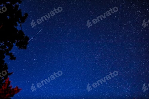 Preview: Starry night sky with a tree in the left. A flying plane makes a line in the sky.