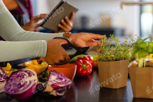 Preview: Hands of biracial lesbian couple cutting seasonings and using tablet in kitchen