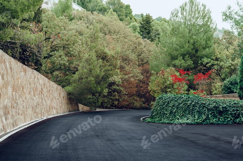 Preview: Picturesque concrete slope walkway with plants on the sides