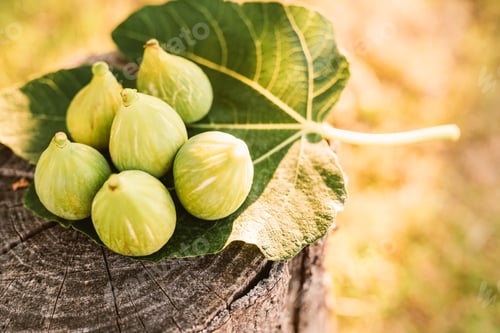 Preview: Fresh figs
