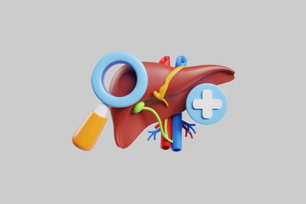 Preview: Human liver anatomy with magnifier