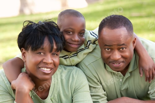 Preview: African American Family Enjoying a Day in the Park.