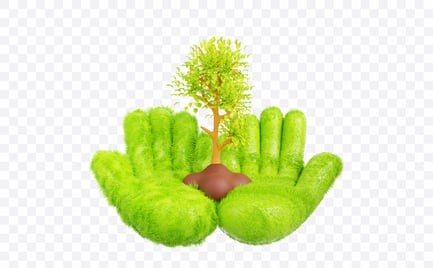 Preview: Tree Hands Care