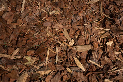 Preview: Natural mulch background image