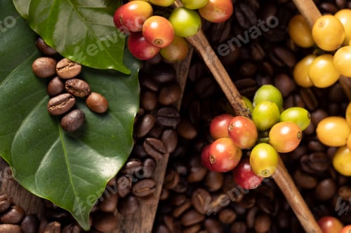Preview: Coffee beans. On a wooden background