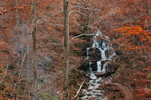 Preview: Amazing picturesque landscape