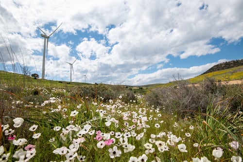 Preview: Windmills power generators on a turbine farm generating electricity from wind. Alternative renewable