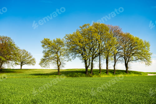 Preview: Green hill with dreamy clouds and blue sky in the background.