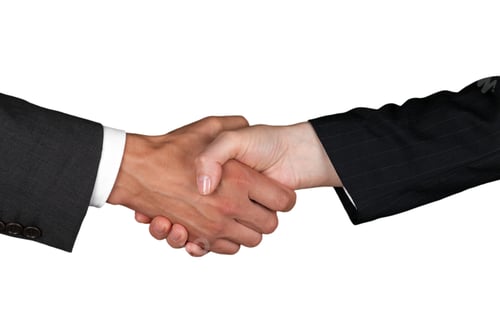 Preview: handshake, successful, congratulating, shaking