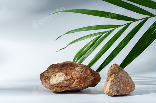 Preview: Granite stone with branch green leaf on studio background