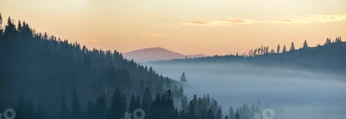 Preview: Summer mountain landscape. Morning fog over blue mountain hills covered with dense misty spruce