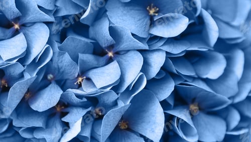 Preview: Close up of blue flax flowers bunch