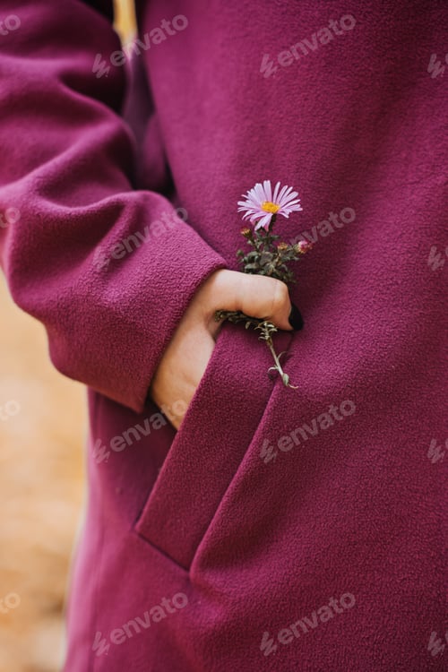 Preview: Fall leaf holding in female hand. Faceless shot of woman in purple coat holding yellow maple leaf