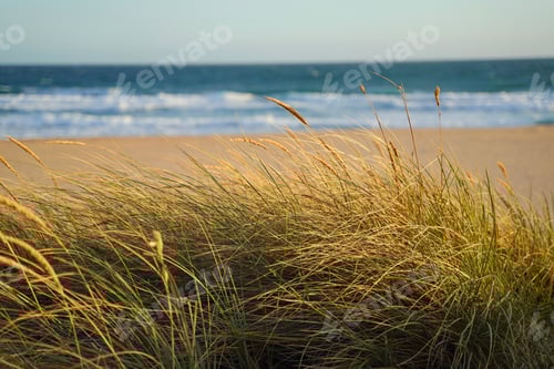 Preview: Beautiful view beach of lakes entrance with field in Victoria, Australia