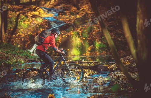 Preview: Bike RIde in the Forest
