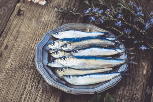 Preview: Fish
